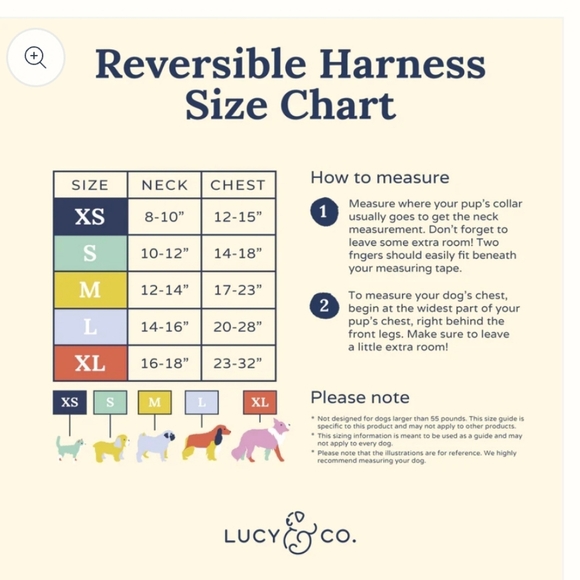 Large Lucy and co harness and leash - Picture 6 of 6